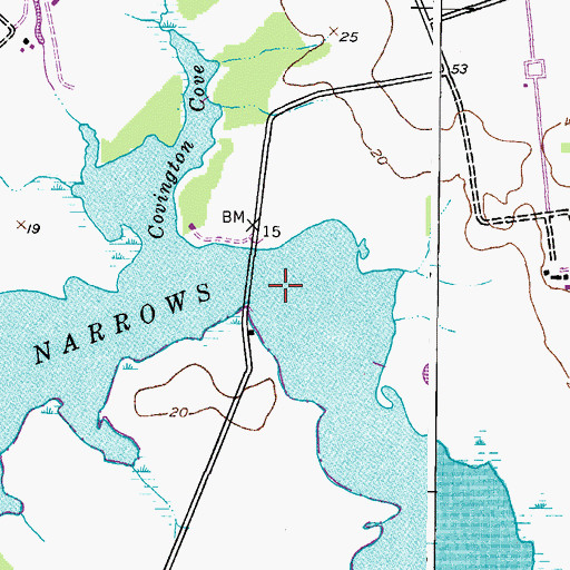 Topographic Map of Wye Narrows, MD
