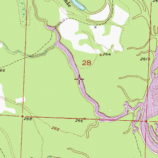 Topographic Map of Trout Lake, AR