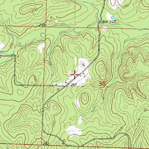 Topographic Map of Possum Trot School (historical), AR
