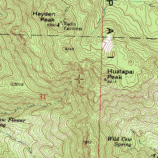 Topographic Map of Hualapai Peak, AZ