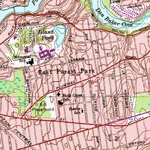 Topographic Map of East Forest Park, MA