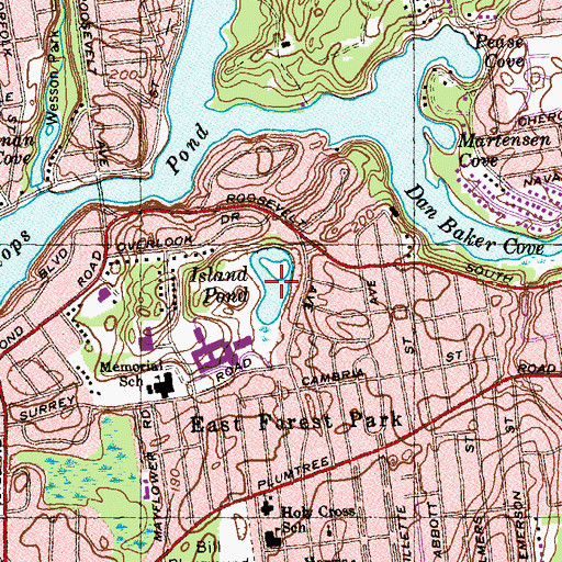 Topographic Map of Island Pond, MA
