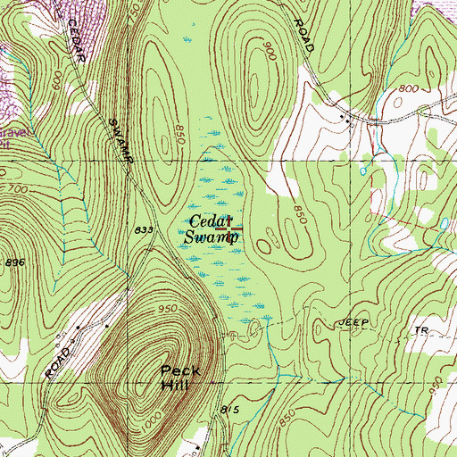 Topographic Map of Cedar Swamp, MA