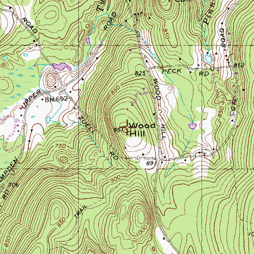 Topographic Map of Wood Hill, MA