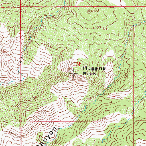 Topographic Map of Huggins Peak, AZ