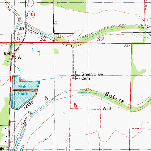 Topographic Map of Green Olive Cemetery, AR