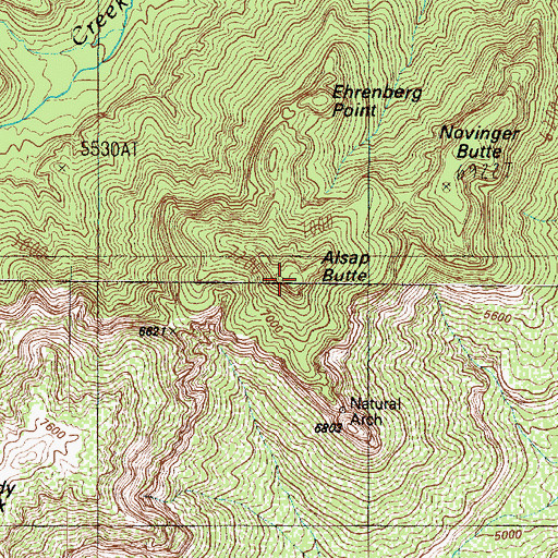 Topographic Map of Alsap Butte, AZ