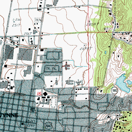 Topographic Map of Wynne Primary School, AR
