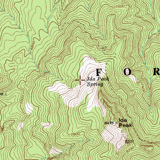 Topographic Map of Ida Peak Spring, AZ