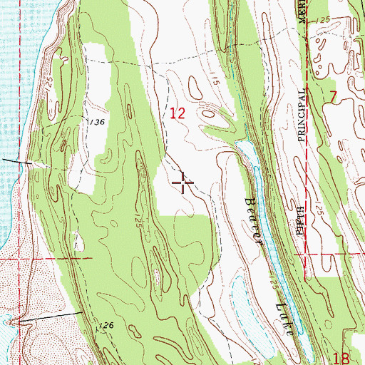 Topographic Map of Island Number 84, AR