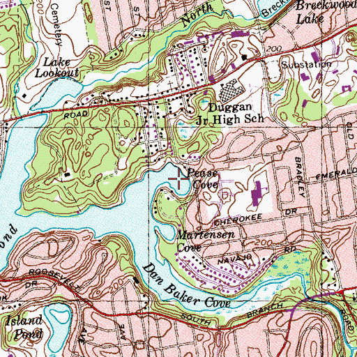 Topographic Map of Pease Cove, MA