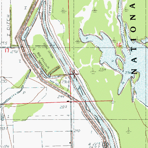 Topographic Map of Cottonwood Point, AR