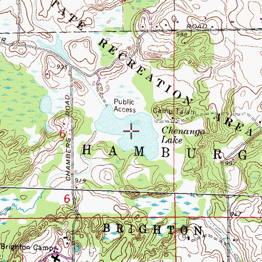 Topographic Map of Chenango Lake, MI