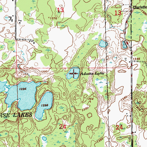 Topographic Map of Adams Lake, MI