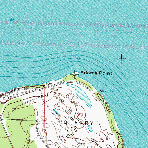 Topographic Map of Adams Point, MI