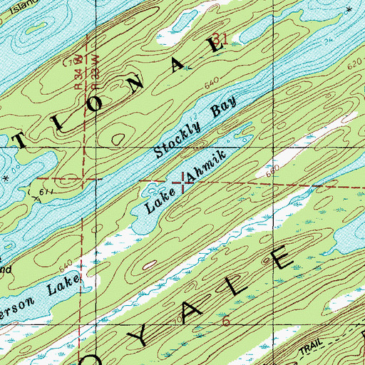 Topographic Map of Lake Ahmik, MI