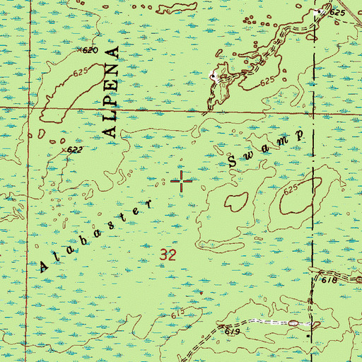 Topographic Map of Alabaster Swamp, MI