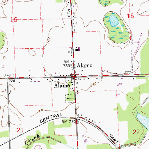 Topographic Map of Alamo, MI