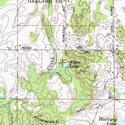 Topographic Map of Algoe Lake, MI