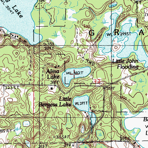 Topographic Map of Alma Lake, MI