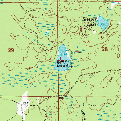 Topographic Map of Ames Lake, MI
