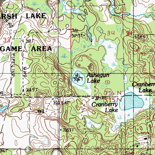 Topographic Map of Ashegun Lake, MI