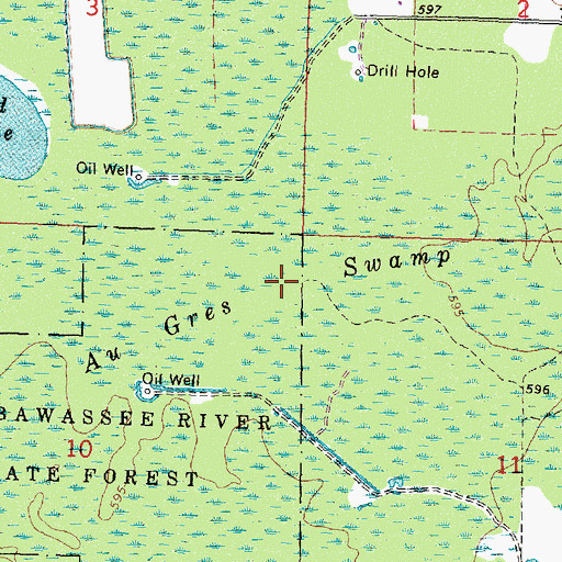 Topographic Map of Au Gres Swamp, MI