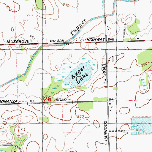 Topographic Map of Augst Lake, MI