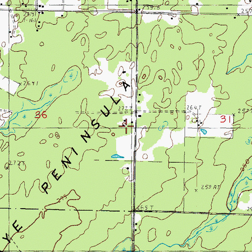 Topographic Map of Aura Town Hall, MI