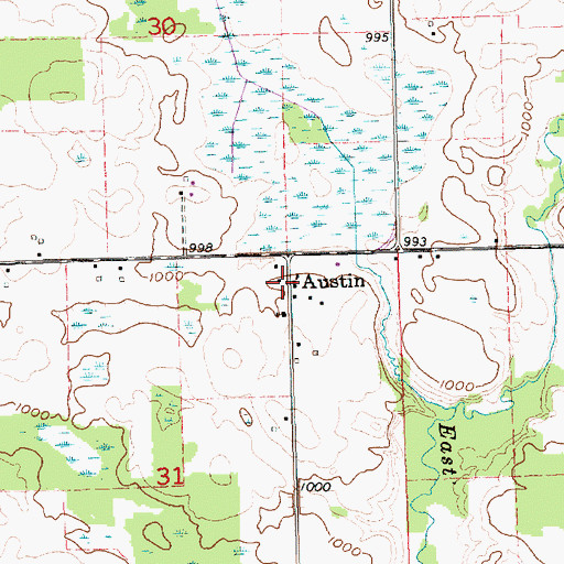 Topographic Map of Austin, MI