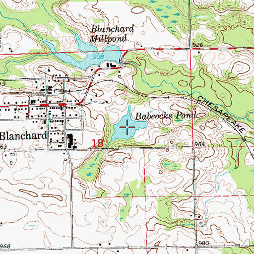 Topographic Map of Babcocks Pond, MI