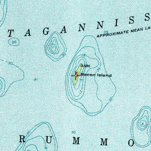 Topographic Map of Bacon Island, MI