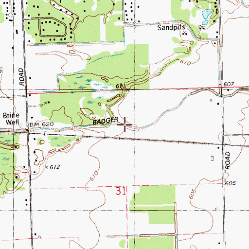 Topographic Map of Badger Drain, MI