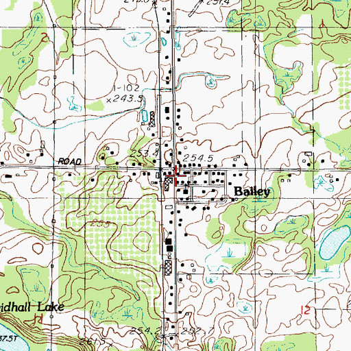 Topographic Map of Bailey, MI