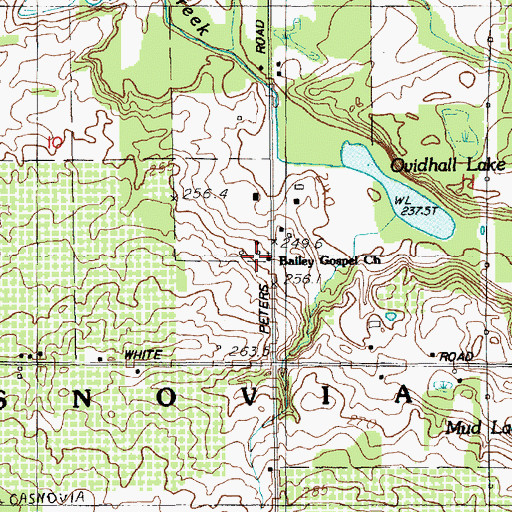Topographic Map of Bailey Gospel Church, MI
