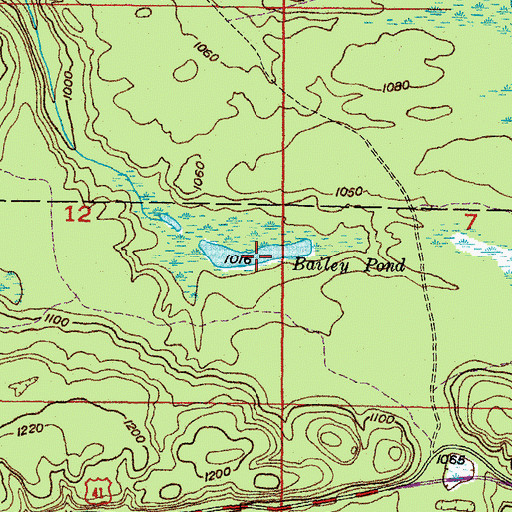 Topographic Map of Bailey Pond, MI