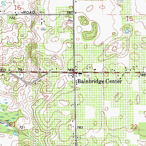 Topographic Map of Bainbridge Center, MI
