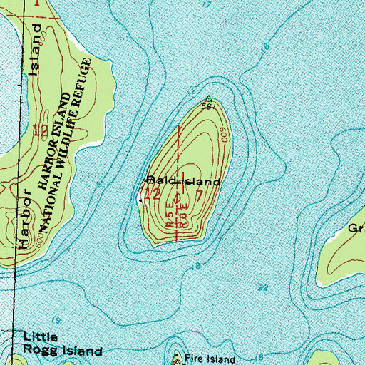 Topographic Map of Bald Island, MI