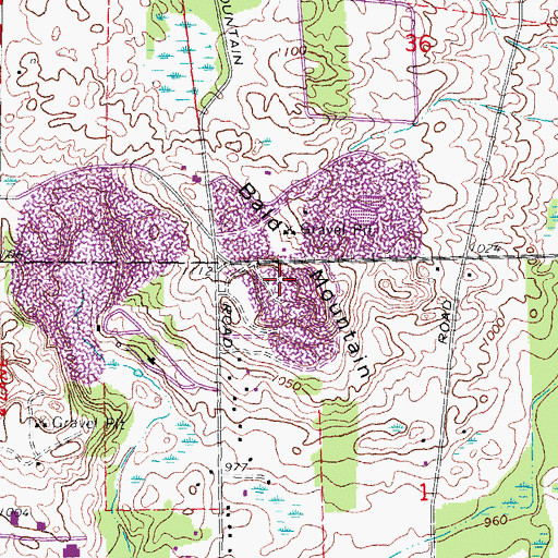 Topographic Map of Bald Mountain, MI