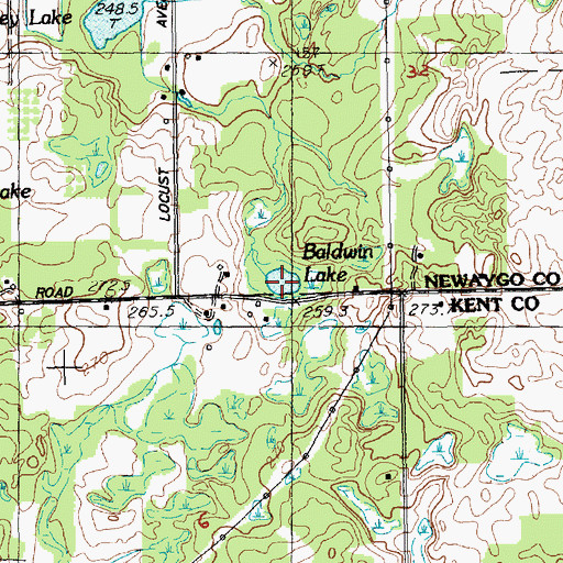 Topographic Map of Baldwin Lake, MI