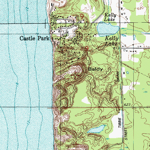 Topographic Map of Baldy, MI