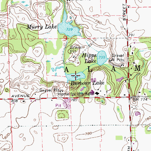 Topographic Map of Barbour Lake, MI
