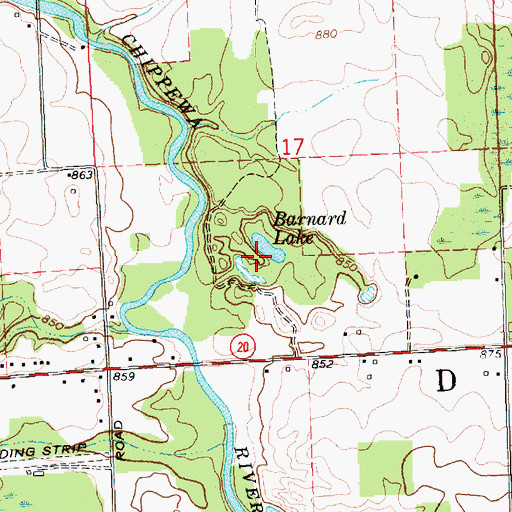 Topographic Map of Barnard Lake, MI