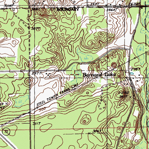 Topographic Map of Barnard Lake, MI