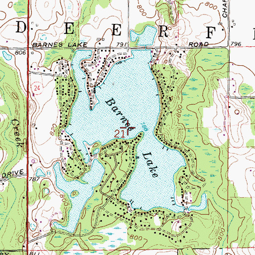 Topographic Map of Barnes Lake, MI