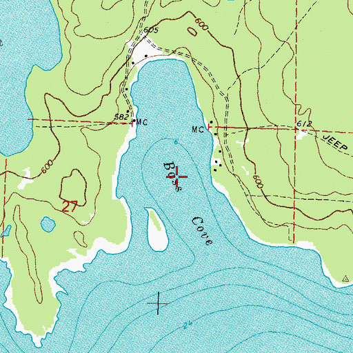 Topographic Map of Bass Cove, MI