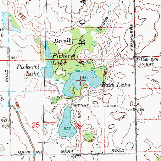 Topographic Map of Bass Lake, MI