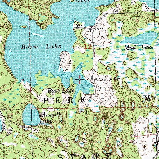 Topographic Map of Bass Lake, MI