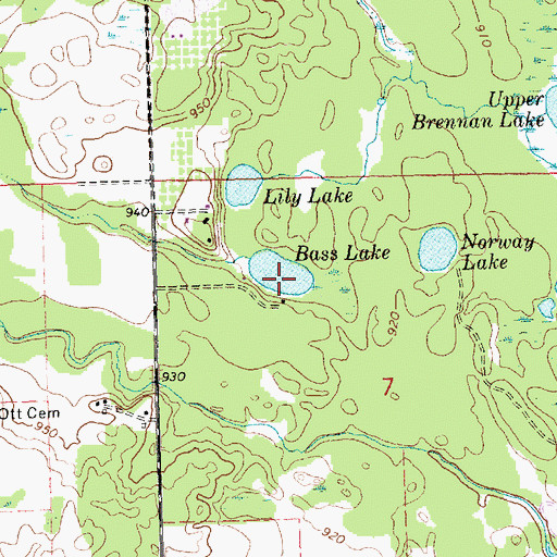 Topographic Map of Bass Lake, MI