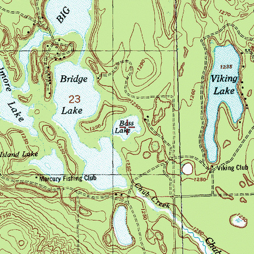 Topographic Map of Bass Lake, MI